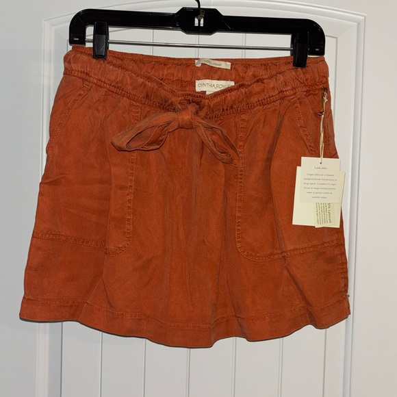BNWT rust skirt - Picture 1 of 3